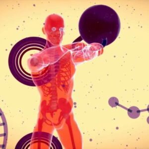 Bioenergética en el Entrenamiento Deportivo